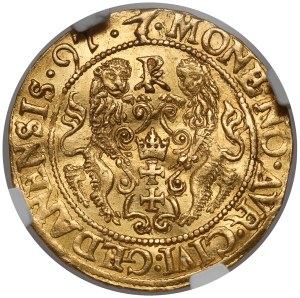 Zygmunt III Waza, Dukat Gdańsk 1597 - RZADKIE popiersie