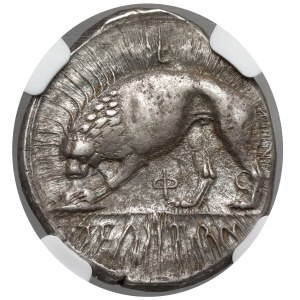 Greece, Lucania, Velia, Didrachma, Kleudoros (~334-300 BC).