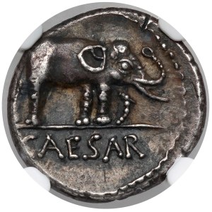 Republika, Juliusz Cezar (49-48 p.n.e.) Denar, Mennica ruchoma - Słoń - piękny