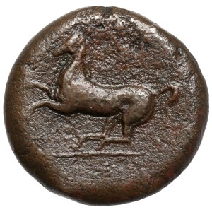 Grecja, Sycylia, Syrakuzy, Trzecia Republika, Timoleon (344-317 p.n.e.) AE25
