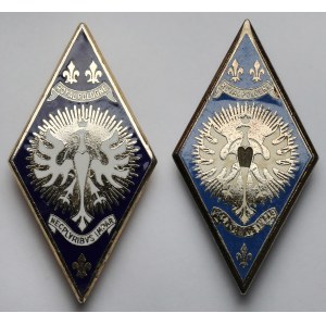 Abzeichen, 5. Kürassierregiment Royal Pologne - Satz (2 Stück)