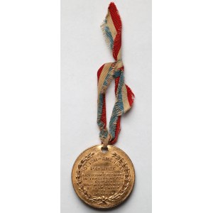 Polonia in the USA, Commemorative medal, Casimir Pulaski 1929