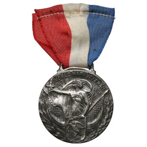 USA, World War I Veterans Medal - World War Veteran 1917-1919.