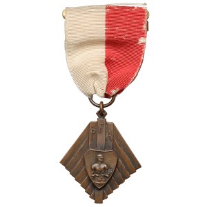 Polonia in den USA, PFA-Medaille - Polnische Falken von Amerika