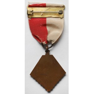 Polonia in den USA, PFA-Medaille - Polnische Falken von Amerika