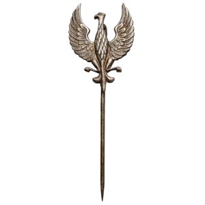 Patriotic eagle on a pin