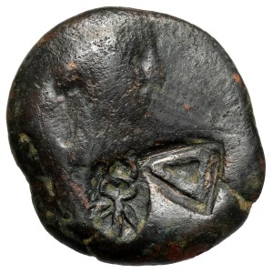 Grejca, Olbia, AE26 - Countermark