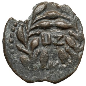 PONCJUS PI£AT, Prefect of Judea (26-36 AD) Prutah, Jerusalem