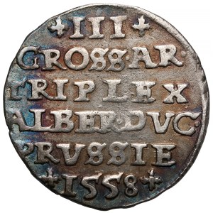 Prusy, Albrecht Hohenzollern, Trojak Królewiec 1558 - rzadki