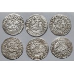 Zygmunt I Stary, Półgrosze Wilno 1515 - zestaw (6szt)