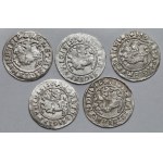 Zygmunt I Stary, Półgrosze Wilno 1519 - RÓŻNY zapis imienia (5szt)