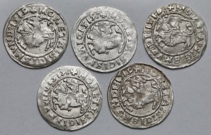 Zygmunt I Stary, Półgrosze Wilno 1519 - RÓŻNY zapis imienia (5szt)