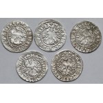 Zygmunt I Stary, Półgrosze Wilno 1519 - RÓŻNY zapis imienia (5szt)