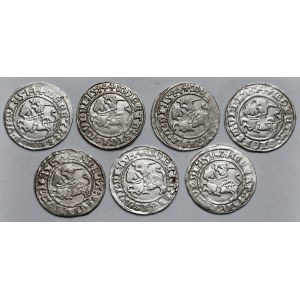 Sigismund I. der Alte, Vilnius 1514 halber Pfennig - Satz (7 Stück)