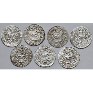 Sigismund I. der Alte, Vilnius 1514 halber Pfennig - Satz (7 Stück)