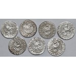 Zygmunt I Stary, Półgrosze Wilno 1514 - zestaw (7szt)