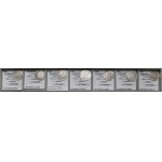 Sigismund I. der Alte, Vilnius 1514 halber Pfennig - Satz (7 Stück)