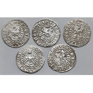 Zikmund I. Starý, Vilnius 1512 půlpenny - sada (5 ks)