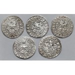 Zygmunt I Stary, Półgrosze Wilno 1512 - zestaw (5szt)