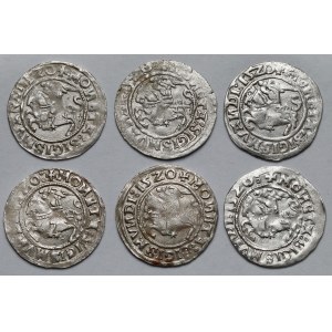 Sigismund I the Old, Vilnius 1520 half-penny - set (6pcs)