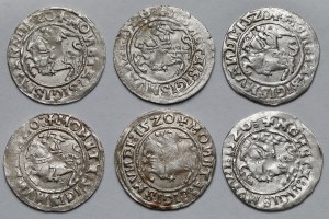 Zygmunt I Stary, Półgrosze Wilno 1520 - zestaw (6szt)
