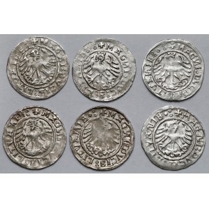 Sigismund I the Old, Vilnius 1520 half-penny - set (6pcs)