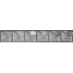 Sigismund I the Old, Vilnius 1520 half-penny - set (6pcs)