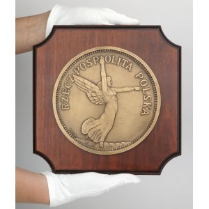 The coin placard of the Second Republic of Poland - 5 gold Nike.