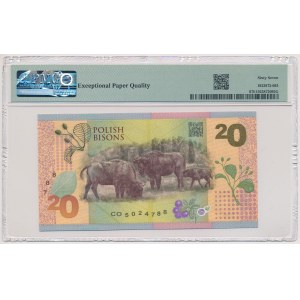 PWPW Bison - CO - Fortis Composite