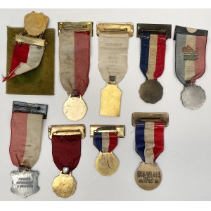 Polish National Union, Commemorative medals - W. Sypniewski - set (9pcs)