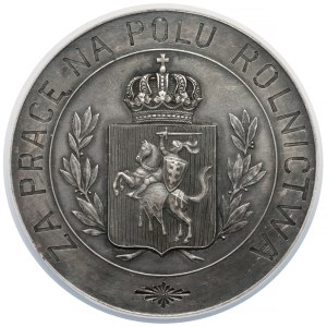 Medal Wileńskie Towarzystwo Rolnicze 1925 - za pracę na polu rolnictwa