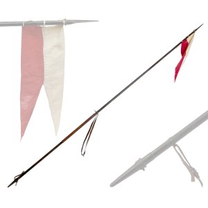 Wojsko Polskie, Francuska Lanca Kawaleryjska wz.1913