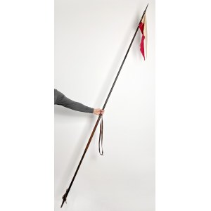 Wojsko Polskie, Francuska Lanca Kawaleryjska wz.1913