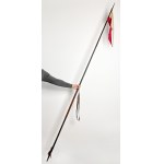 Polish Army, French Cavalry Lance wz.1913