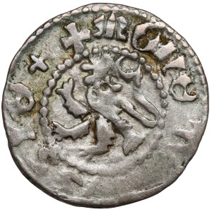 Ladislaus II Jagiello, Ruthenian Quarterly, Lviv