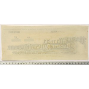 USA, Duluth Winnipeg Pacific Railway - Unfinished Stock Certificate