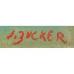 Jakub Zucker (1900 Radom - 1981 New York), Námestie v Širokom.