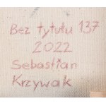 Sebastian Krzywak (geboren 1979, Zielona Góra), Ohne Titel 173, 2022