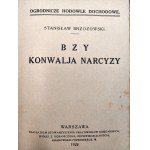 Jankowski, Łebkowski, Brzozowski - Ogródek miłośnika, Dalje, Bzy Konwalia Narcyzy [ogrodnictwo], Warszawa 1930