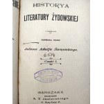 J.A. Święcicki - Historia Literatury Żydowskiej z ilustracjami - komplet, Warszawa 1902/3