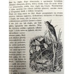 Dyakowski B. - Unser Wald und seine Bewohner [mit zahlreichen Zeichnungen von Jablczynski und anderen] Warschau 1919