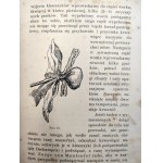 Prof. M.W. Herman - O ranach postrzałowych i pierwszym ich opatrunku - zarys chirurgii wojennej z 41 rycinami - Lwów 1913
