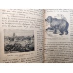 Promyk K. - Stopniowe opisanie świata [ ryciny, mapki], Warszawa 1884