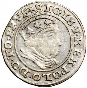 Polonia, Sigismondo I il Vecchio (1506-1548), Danzica, centesimo 1533, Danzica