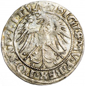 Polska, Zygmunt Stary, Litwa, grosz 1536, men. Wilno