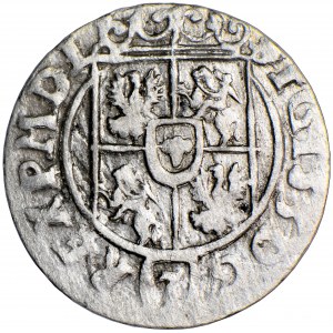 Poland, Sigismund III, Crown, one-sided half-tone without date, men. Bydgoszcz