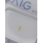 Diament 0.06 ct Si AIG Milan