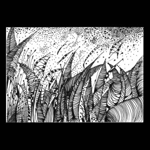 Joanna Turkiewicz-Dąbrowska, Rain and wind