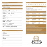 Diament naturalny 0.14 ct Si2