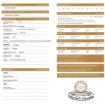 Diament naturalny 0.17 ct P3